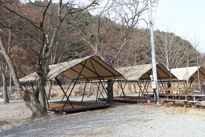 강촌포도펜션오토캠핑장 메인 이미지