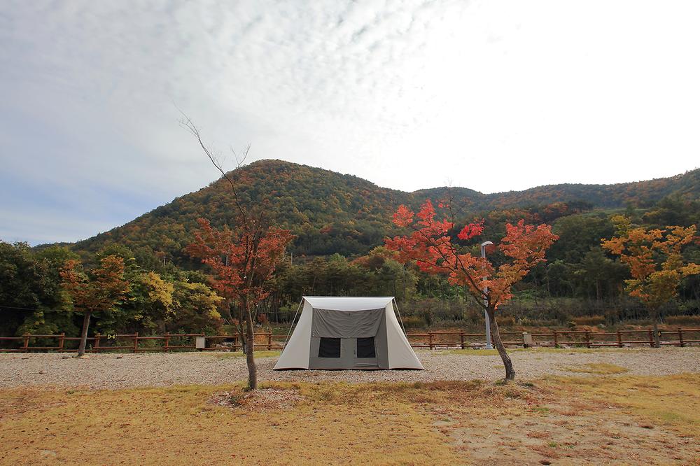 성덕댐 수달 캠핑장