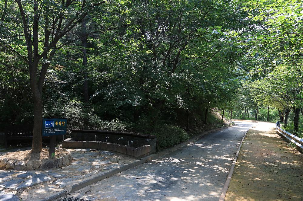 성주봉 자연휴양림