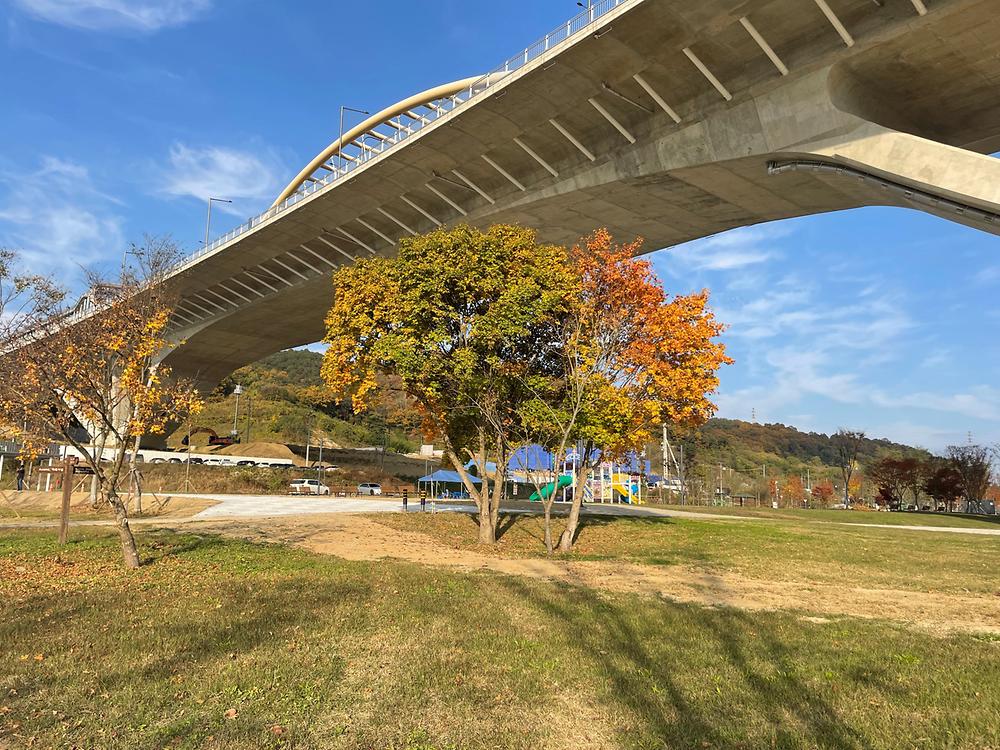 세종 합강캠핑장