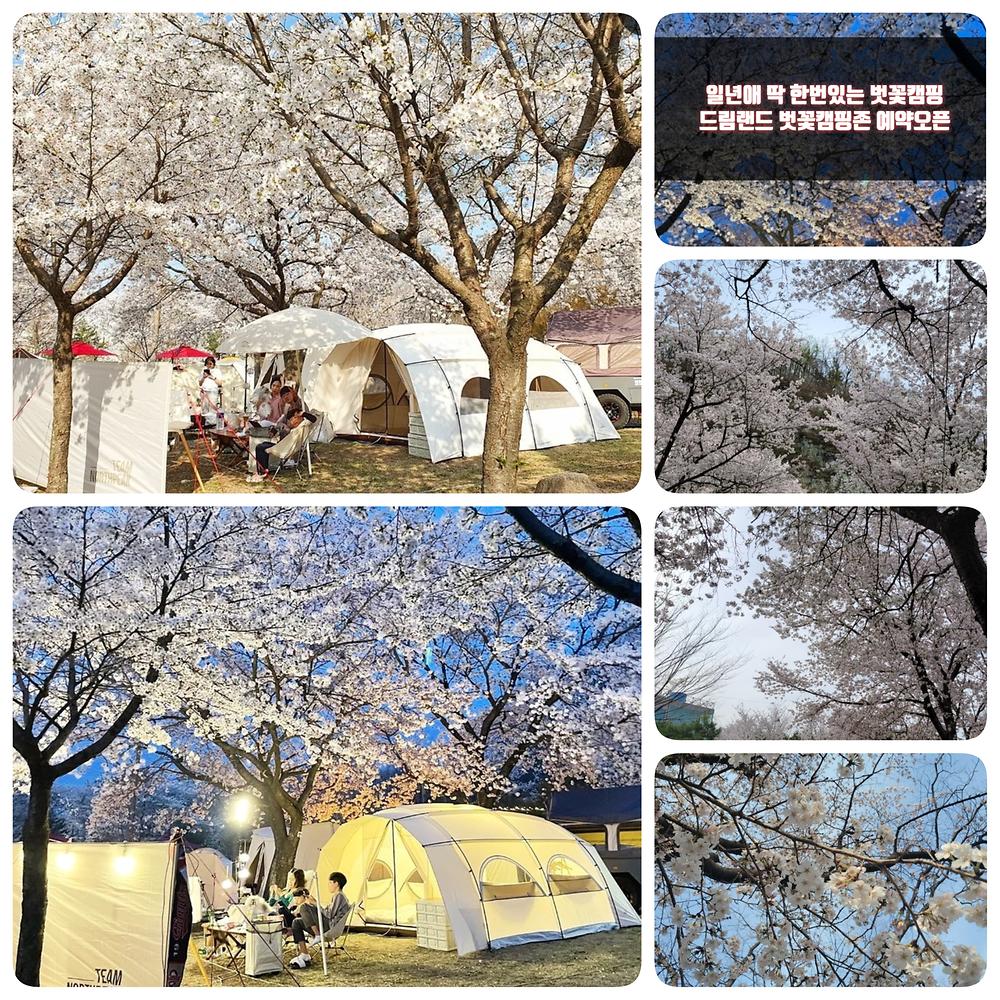 드림랜드오토캠핑장