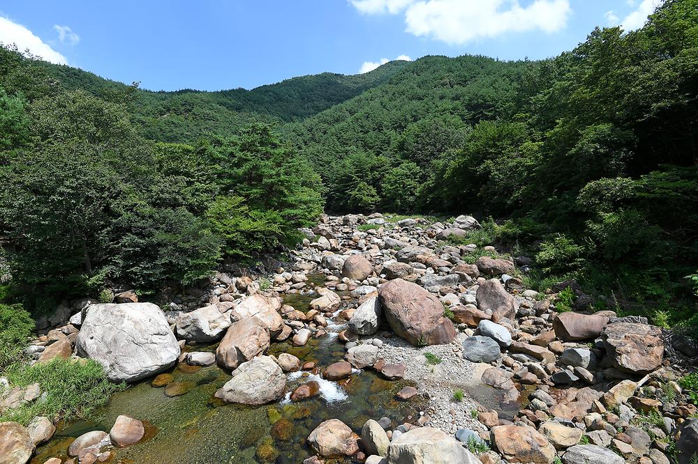 소막골야영장