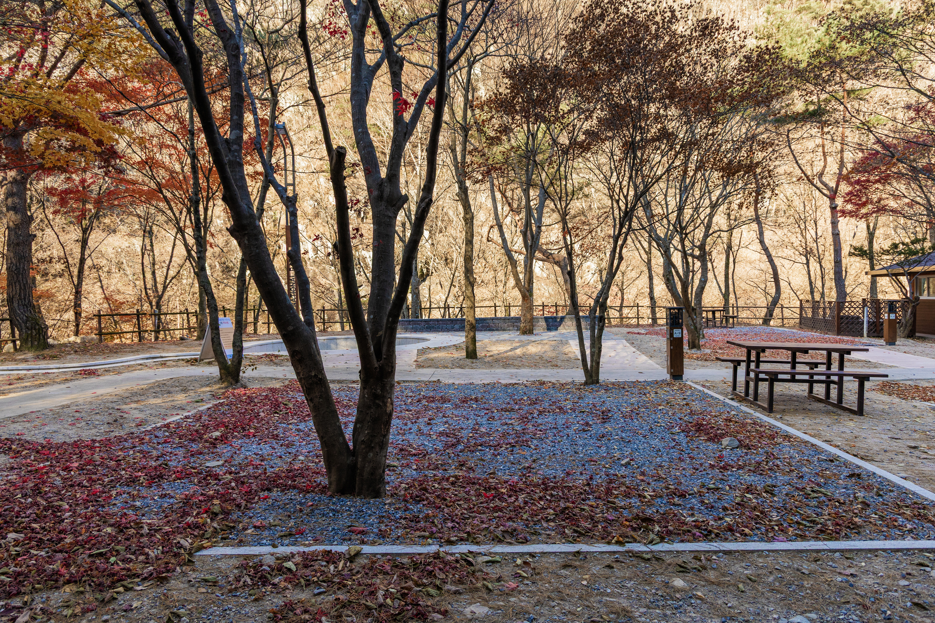 소백산국립공원 남천야영장