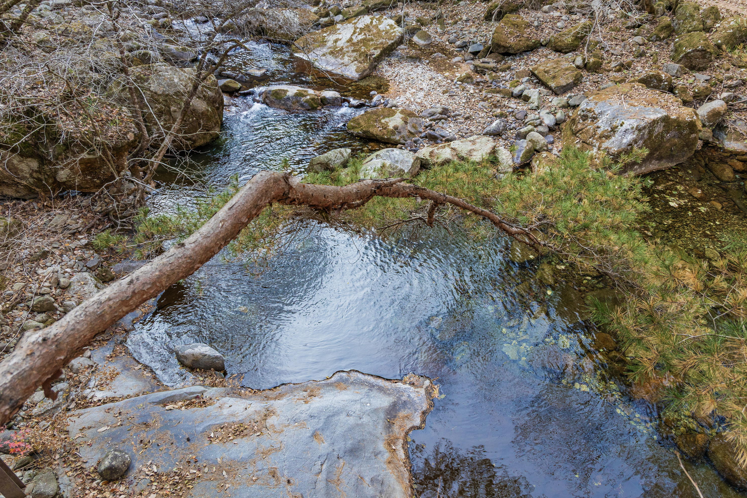 소백산국립공원 남천야영장