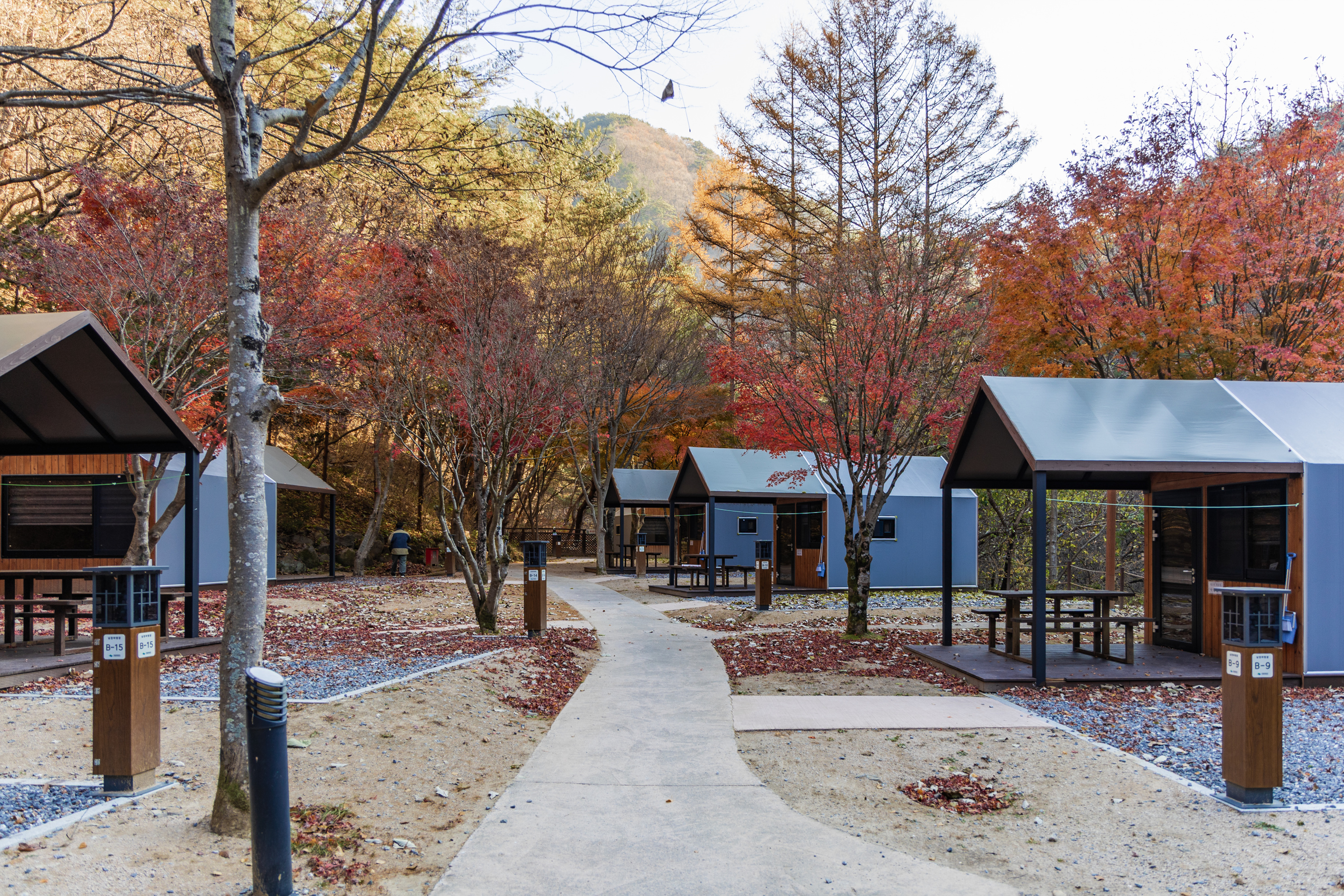 소백산국립공원 남천야영장