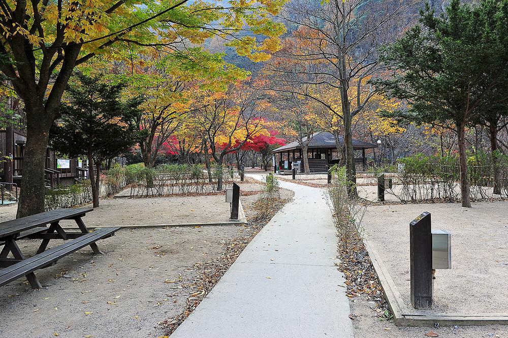 소백산국립공원 남천야영장