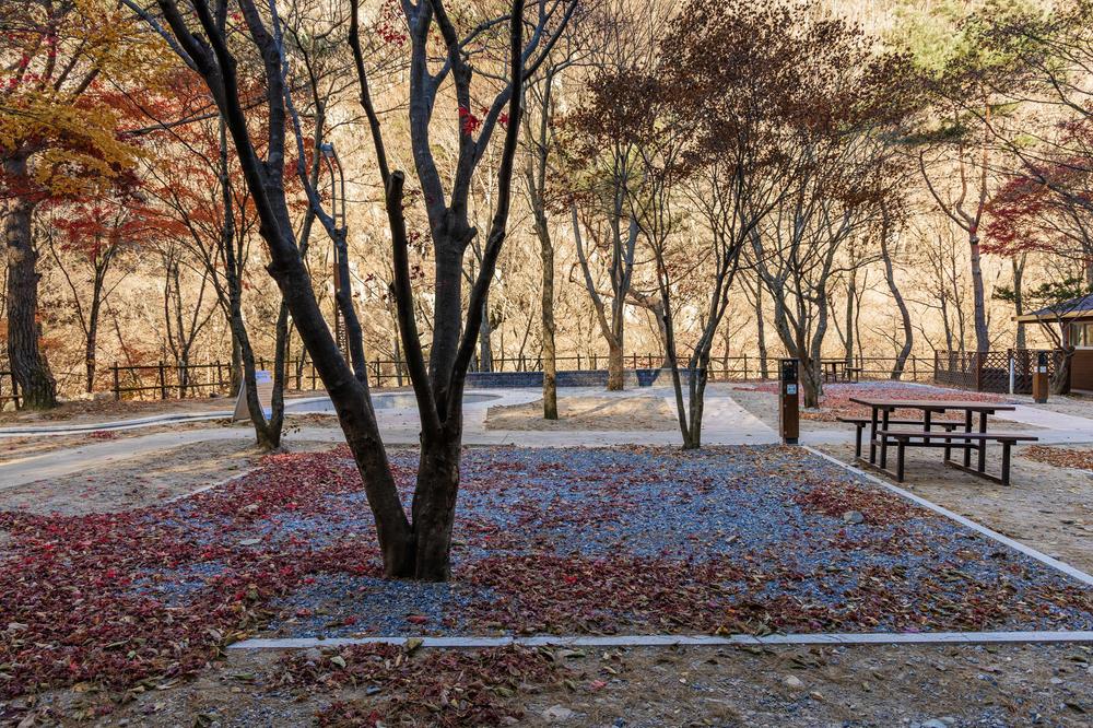 소백산국립공원 남천야영장