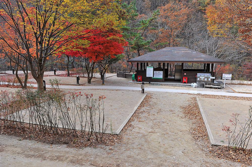 소백산국립공원 남천야영장