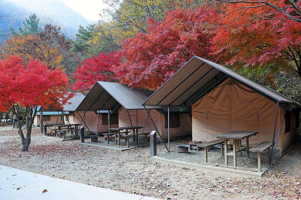 소백산국립공원 남천야영장