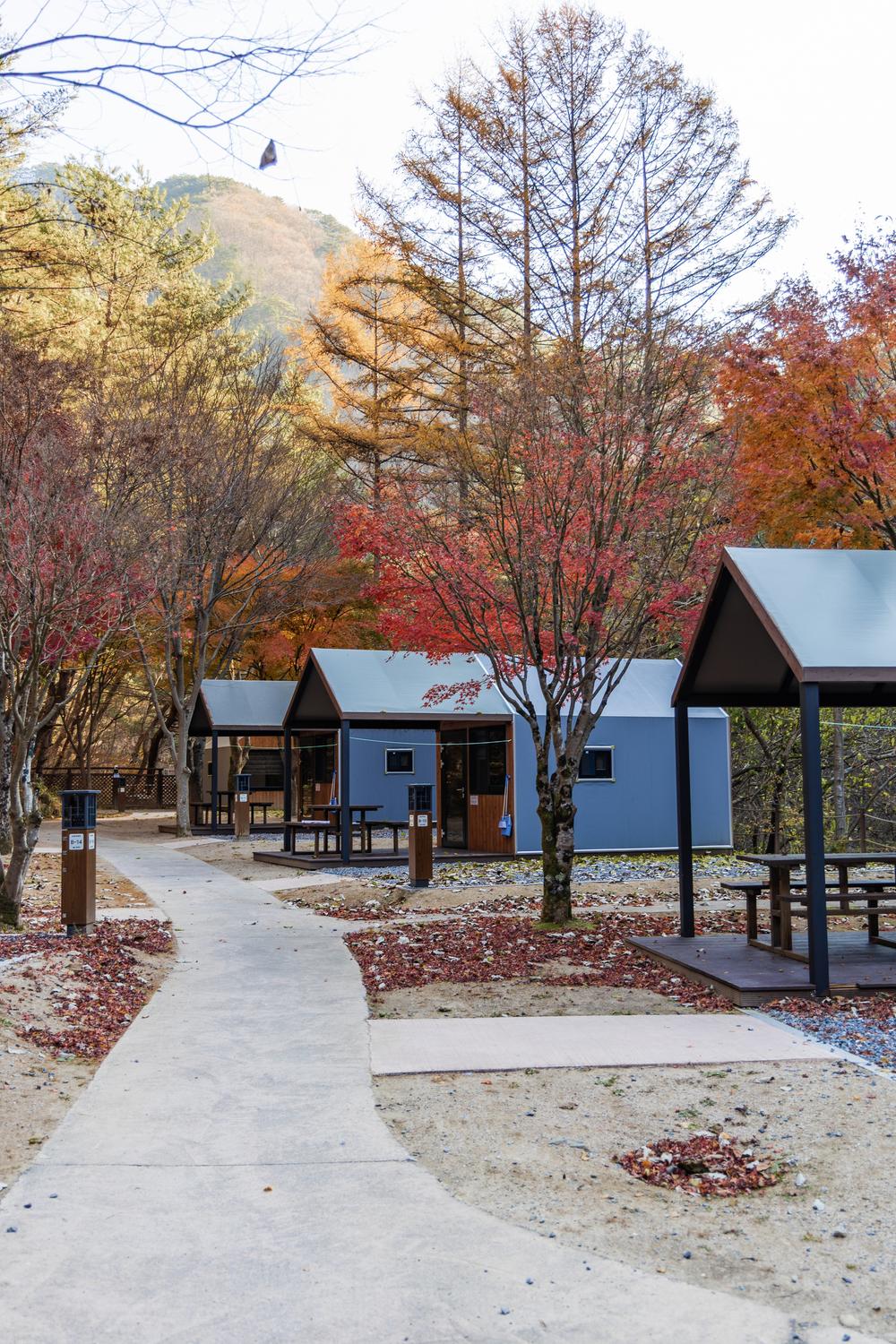 소백산국립공원 남천야영장