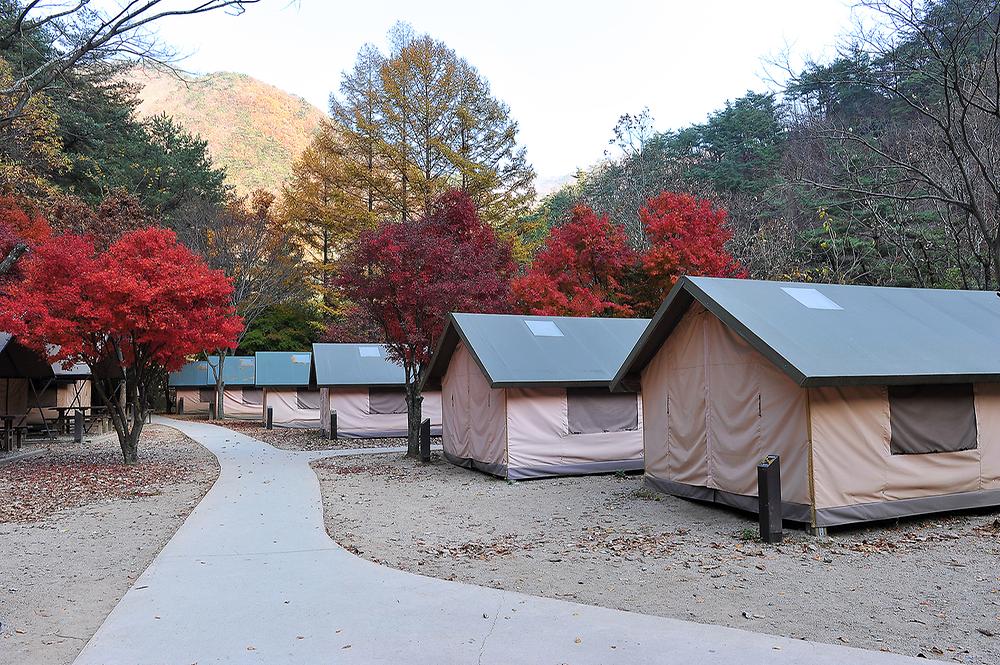 소백산국립공원 남천야영장