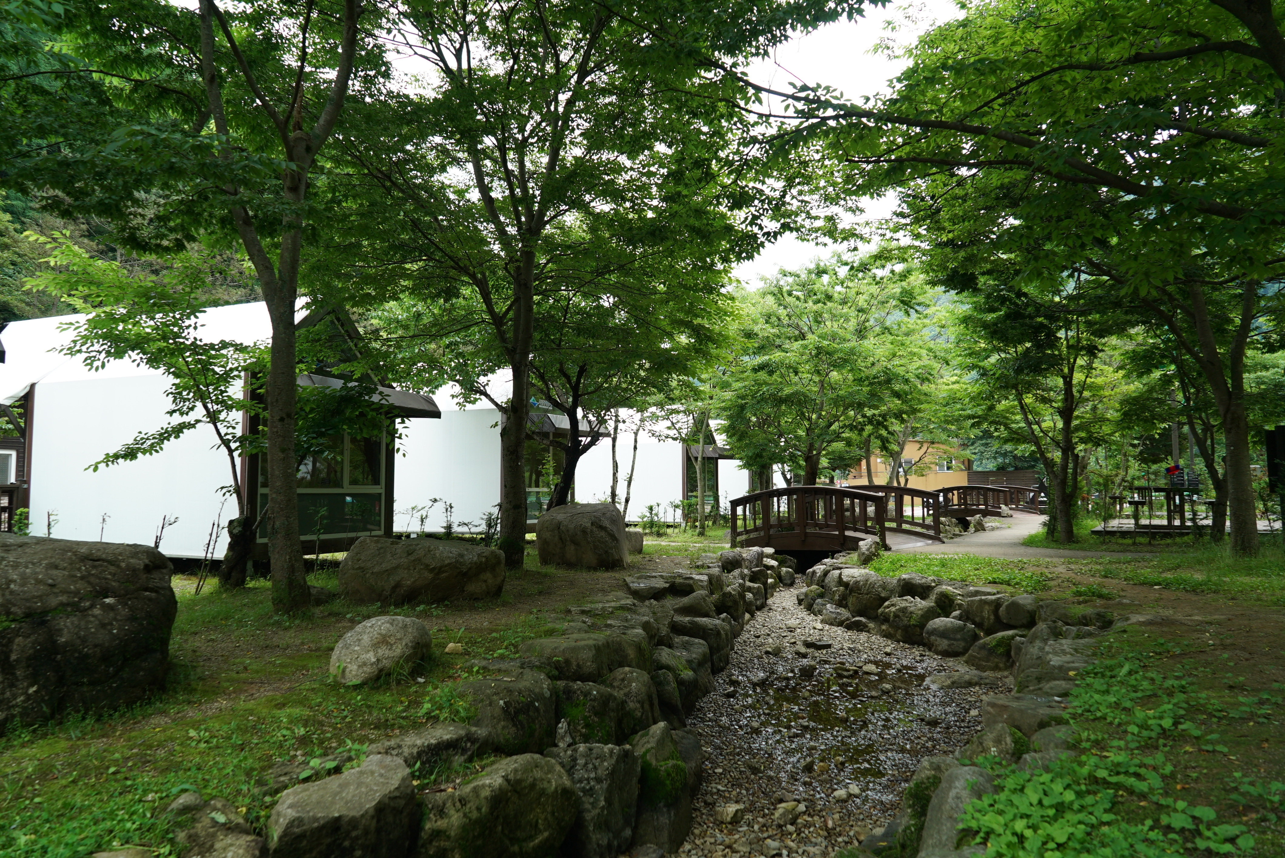 소백산국립공원 삼가야영장