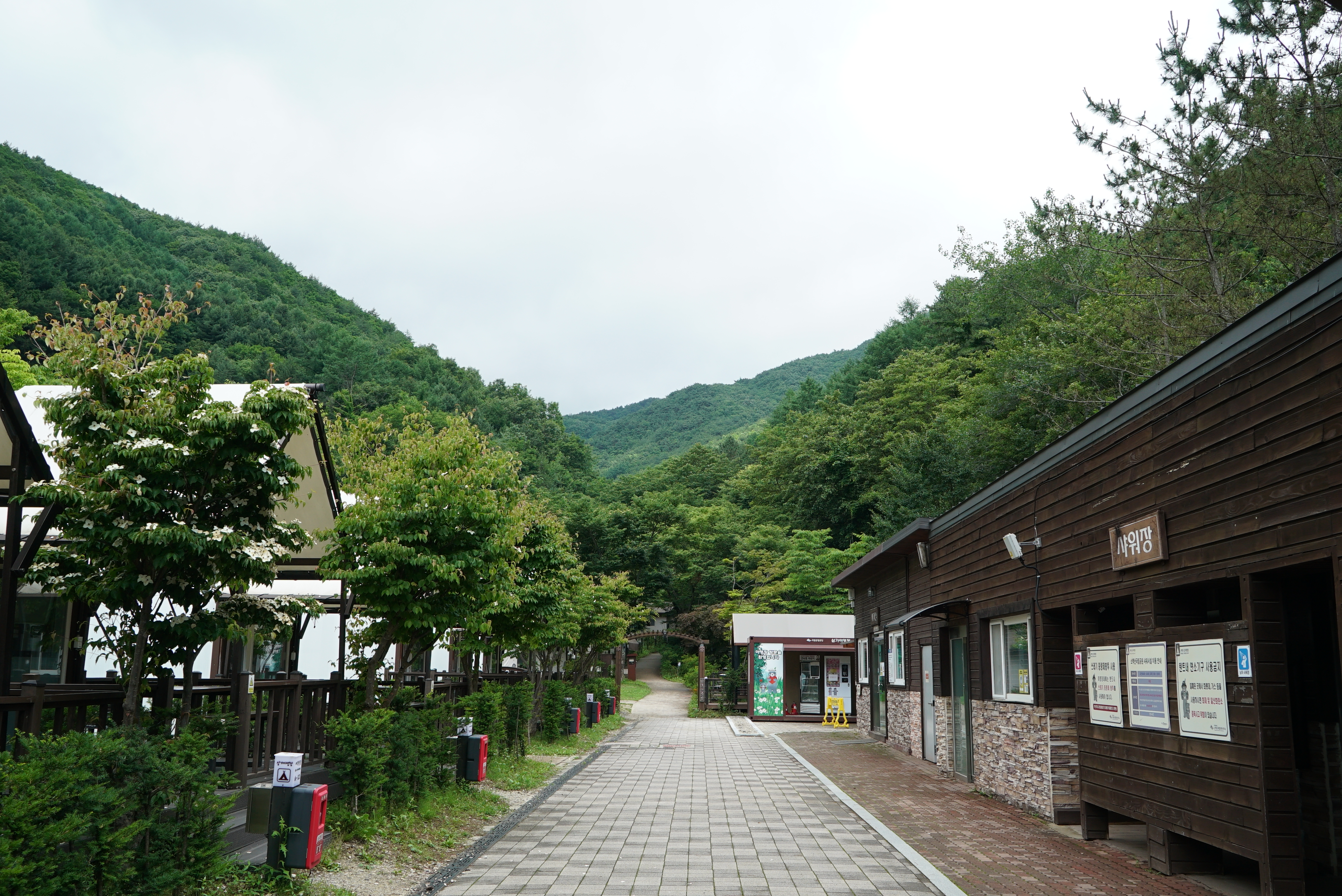 소백산국립공원 삼가야영장