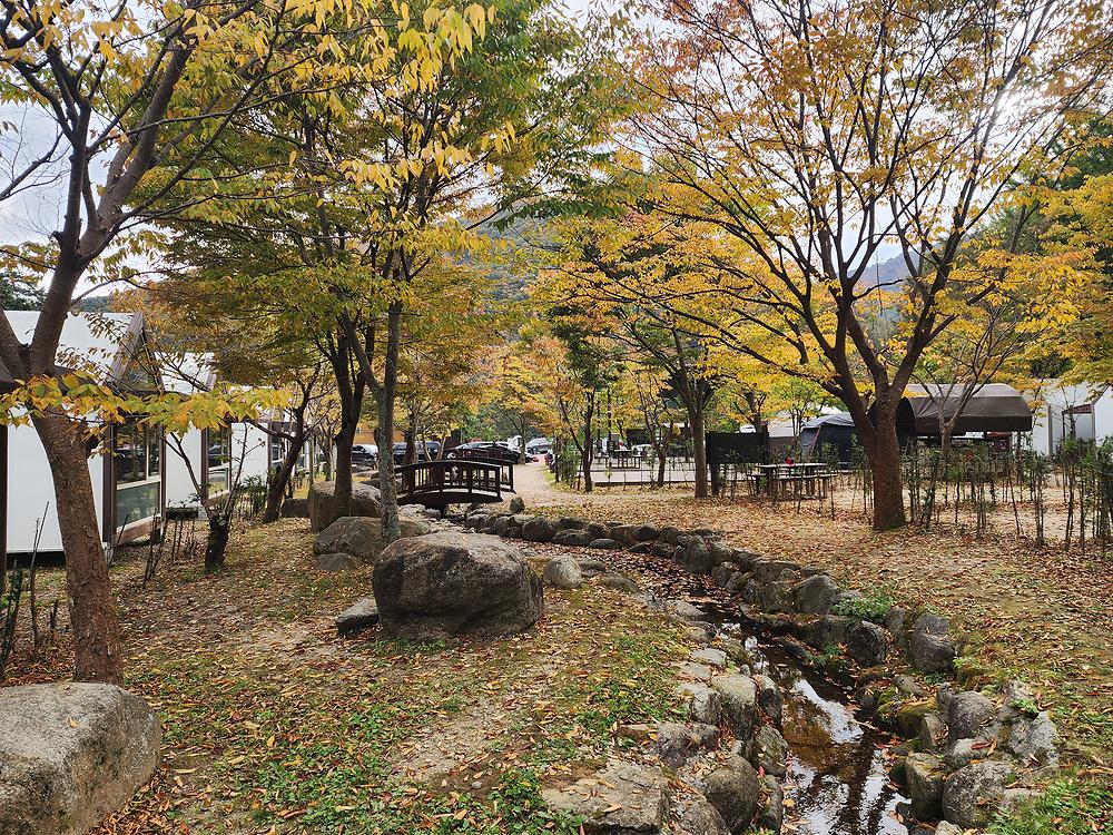 소백산삼가야영장