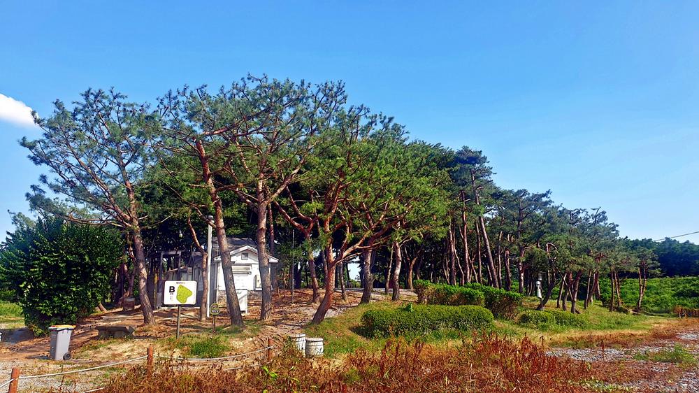 소풍정원 캠핑장