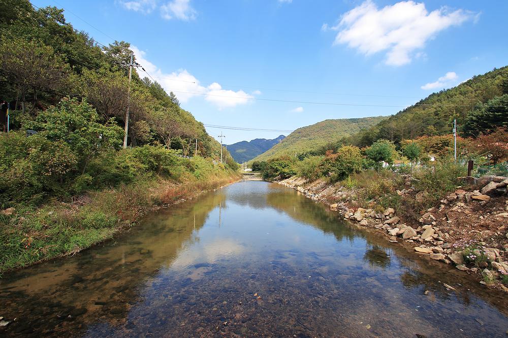 속리산알프스캠핑장&펜션