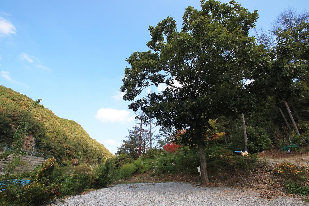 속리산알프스캠핑장&펜션