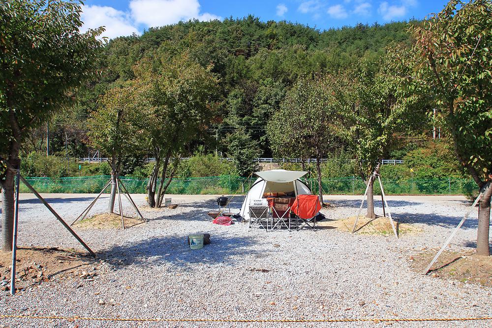 속리산알프스캠핑장&펜션