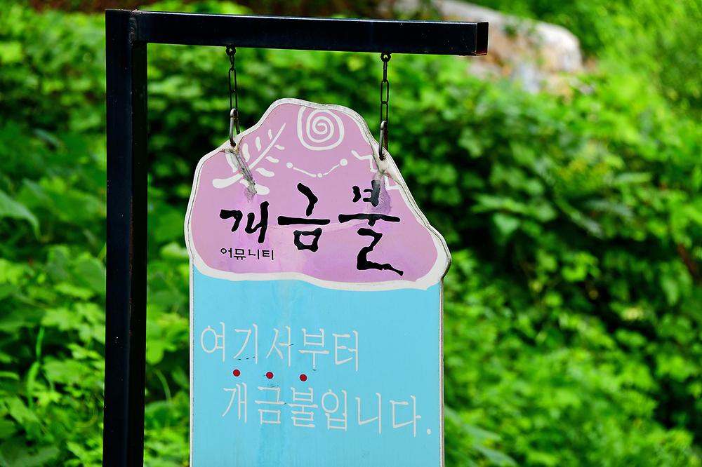 개금불 어뮤니티