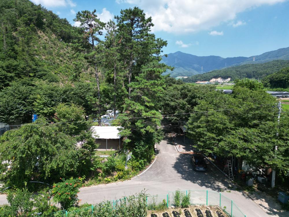 솔밭체육공원오토캠핑장