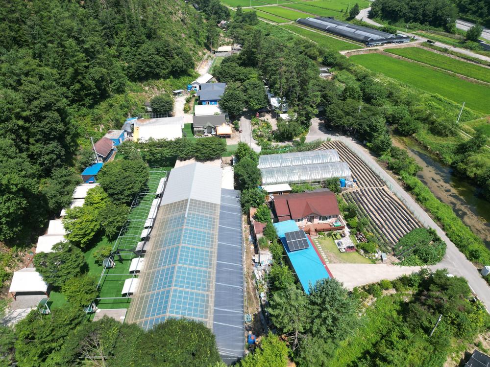 솔밭체육공원오토캠핑장