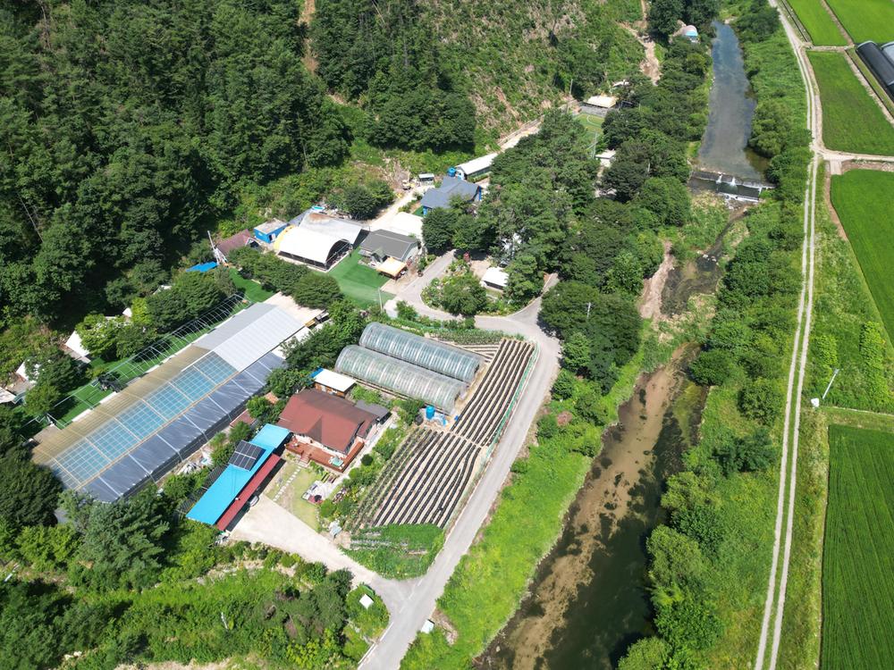 솔밭체육공원오토캠핑장