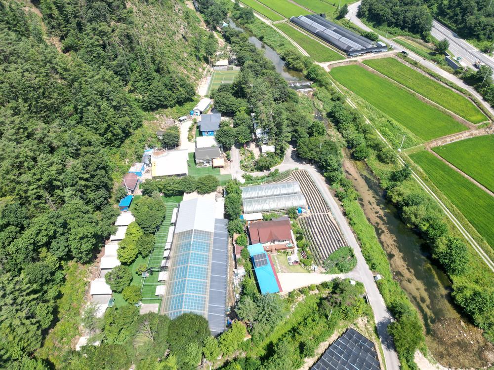 솔밭체육공원오토캠핑장