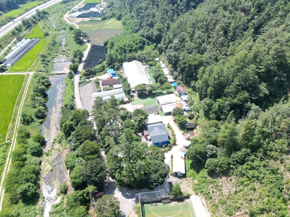 솔밭체육공원오토캠핑장