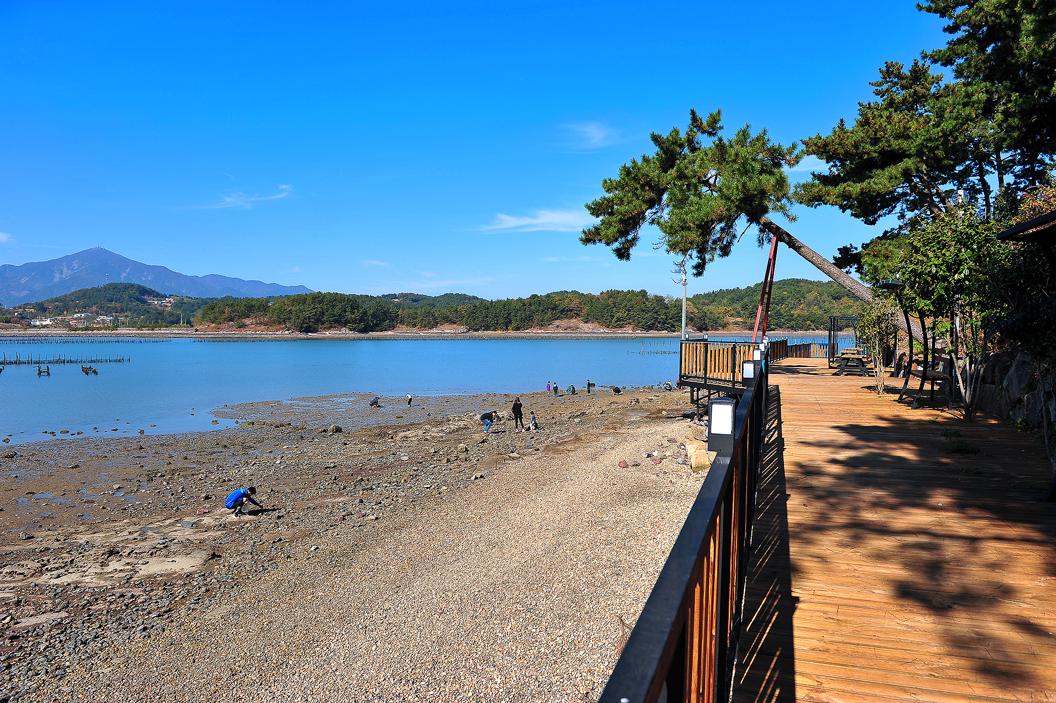 사천비토솔섬오토캠핑장