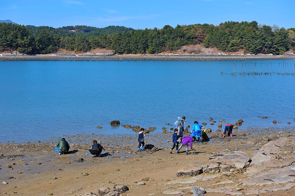 사천비토솔섬오토캠핑장
