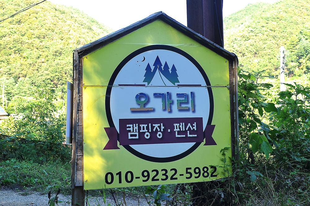 송가네 오가리캠핑장