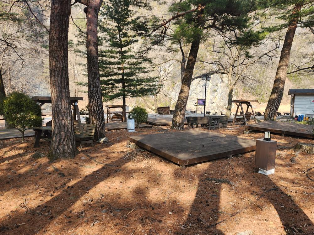 정선 삼시세끼 스쿨 캠핑장