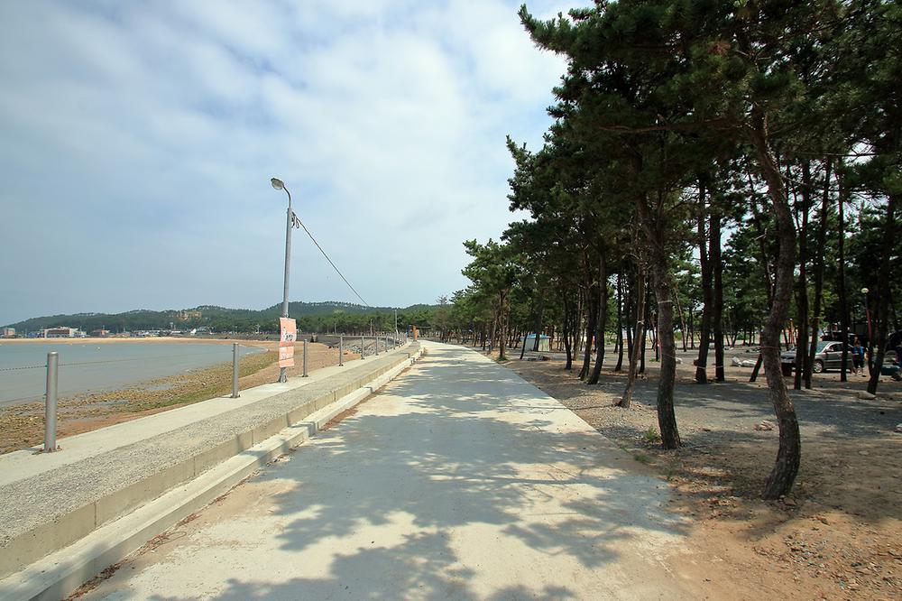 어은돌송림캠핑장