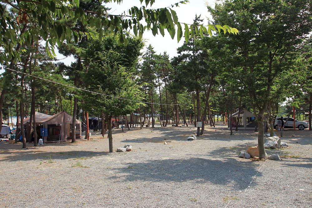 어은돌송림캠핑장