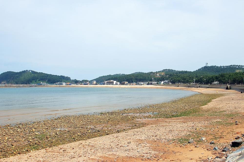 어은돌송림캠핑장
