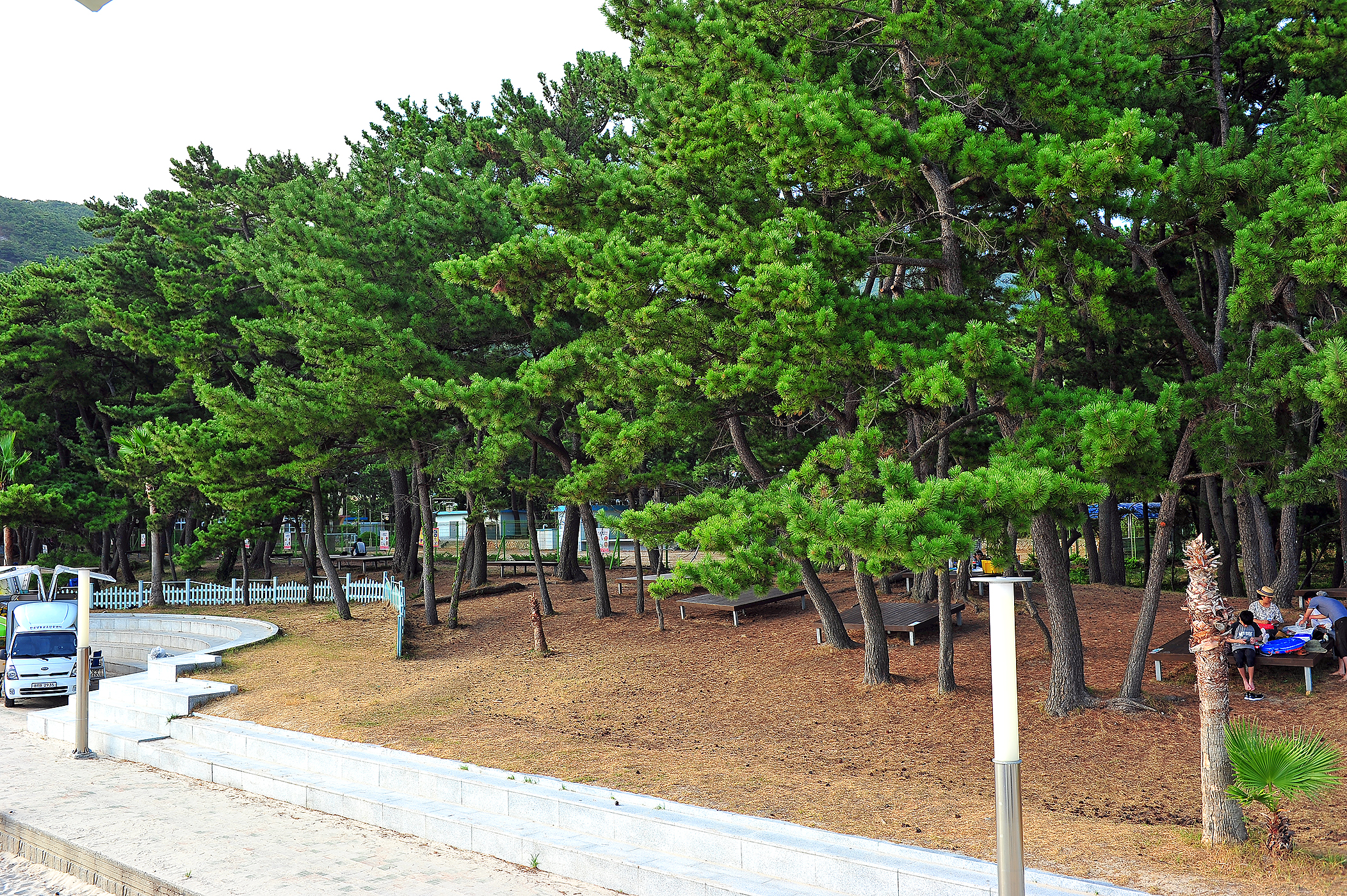 송정솔바람해변캠핑장