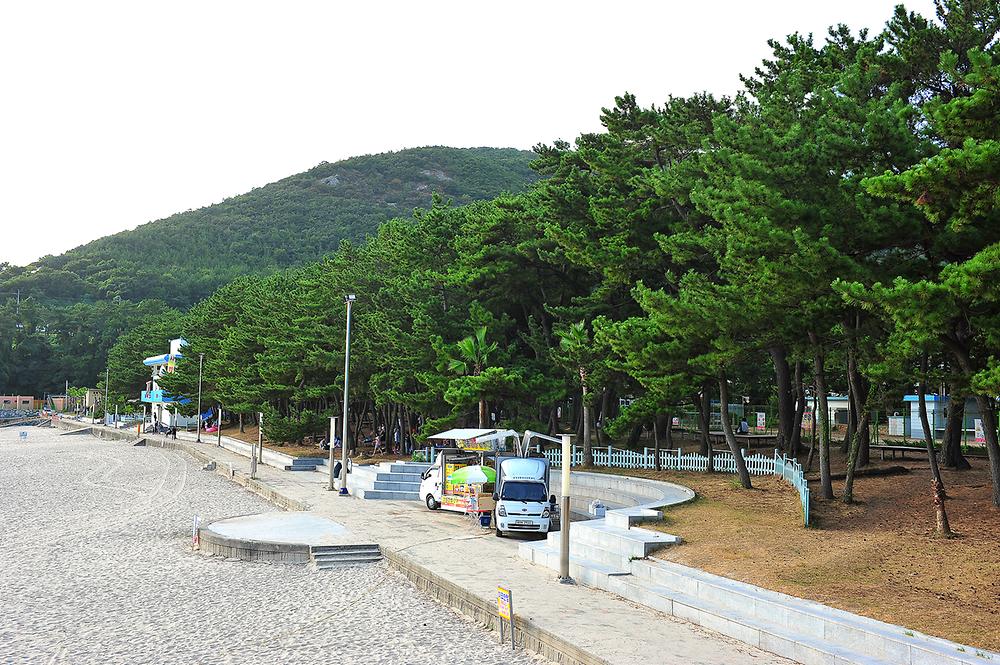 송정솔바람야영장