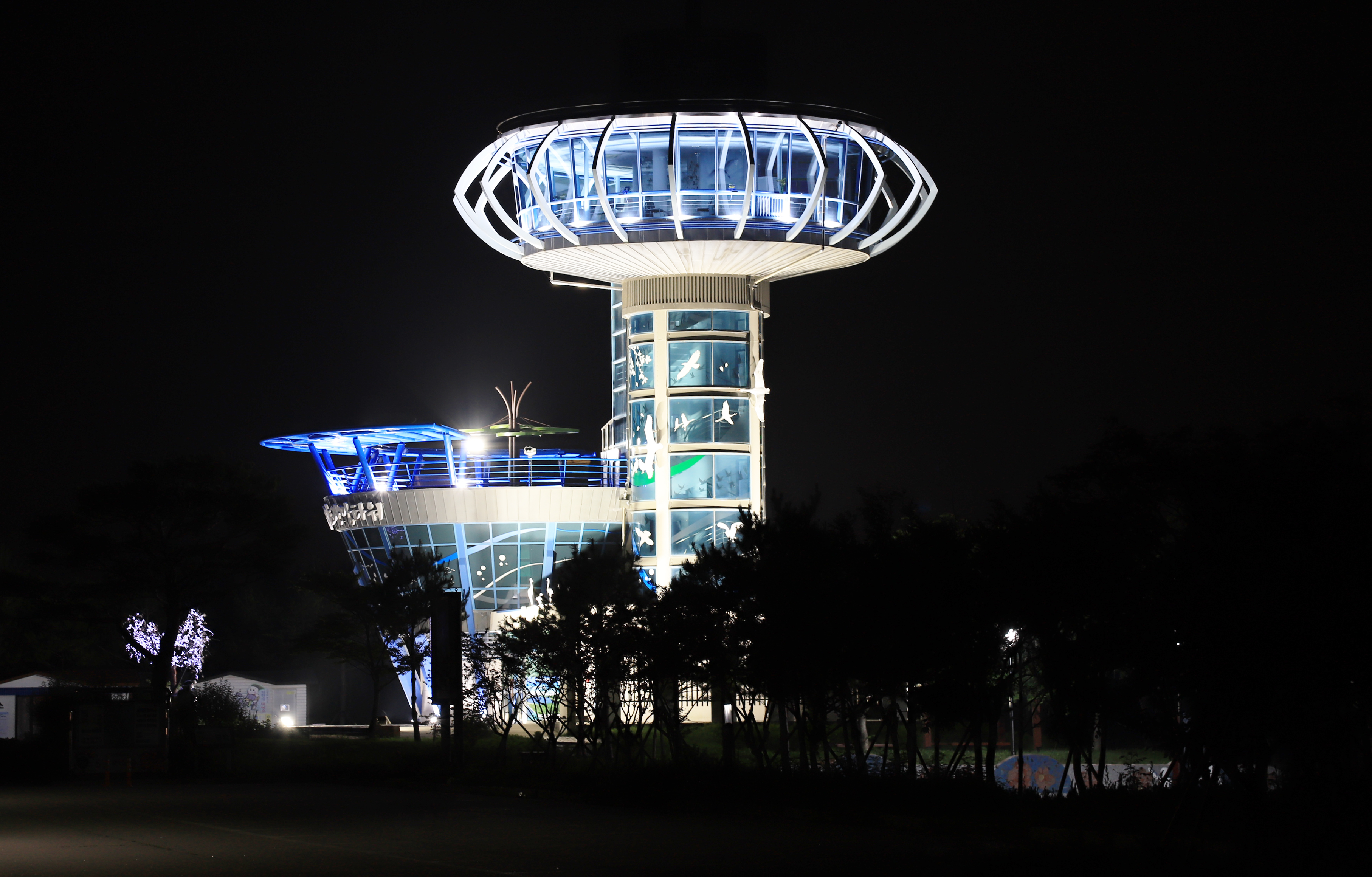 송지호 오토 캠핑장