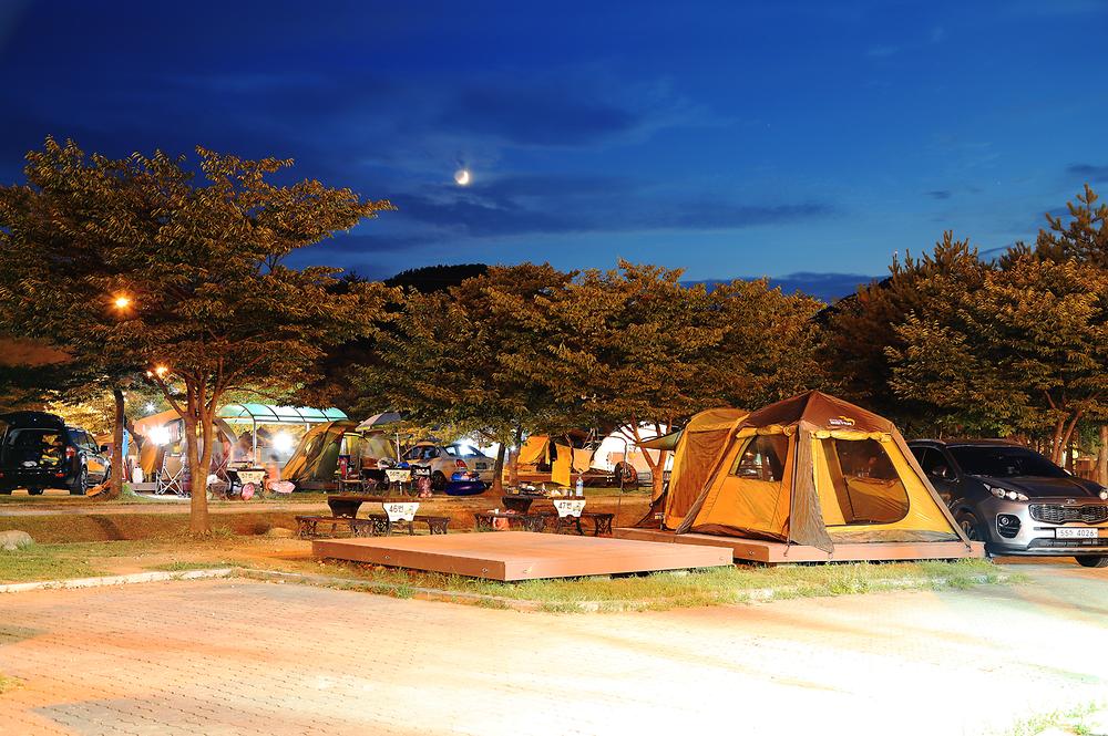 송지호 오토 캠핑장