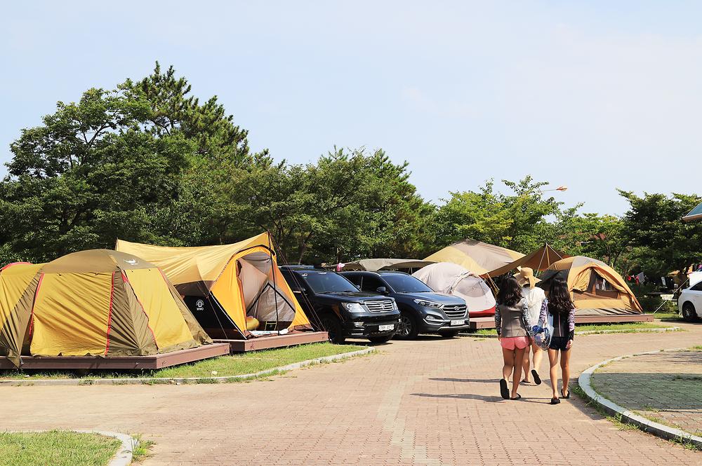 송지호 오토 캠핑장