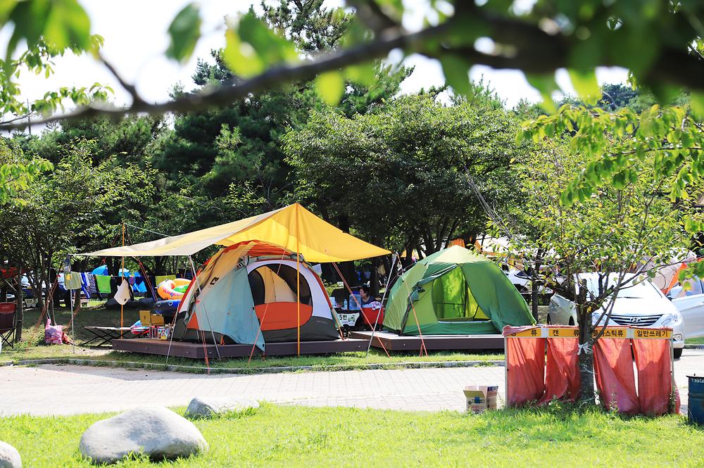 송지호 오토 캠핑장