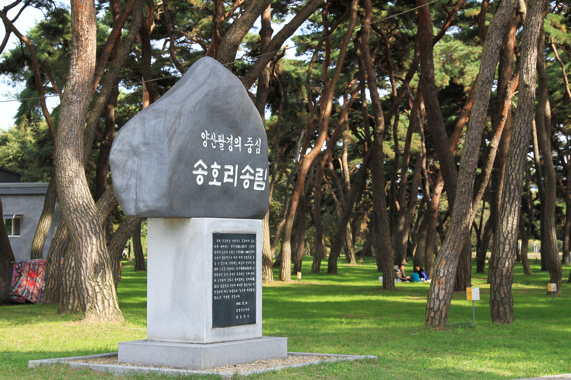 송호국민관광지 야영장