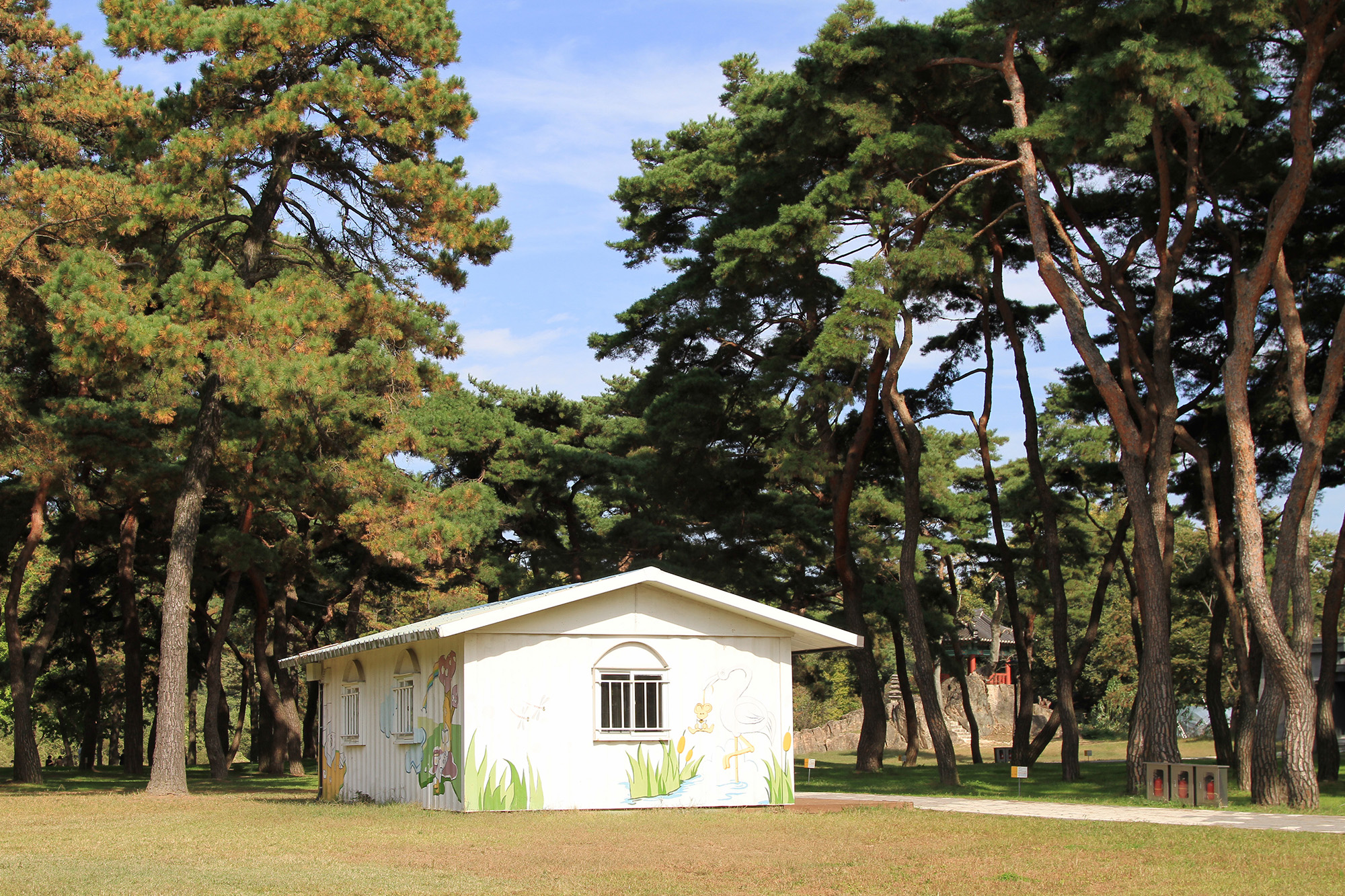 송호국민관광지 야영장