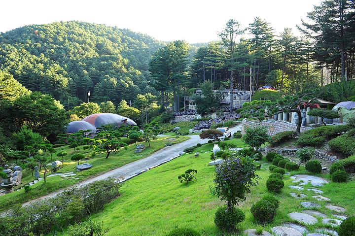 수목원프로방스 캠핑장 메인 이미지