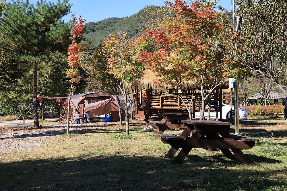 수하 캠핑파크