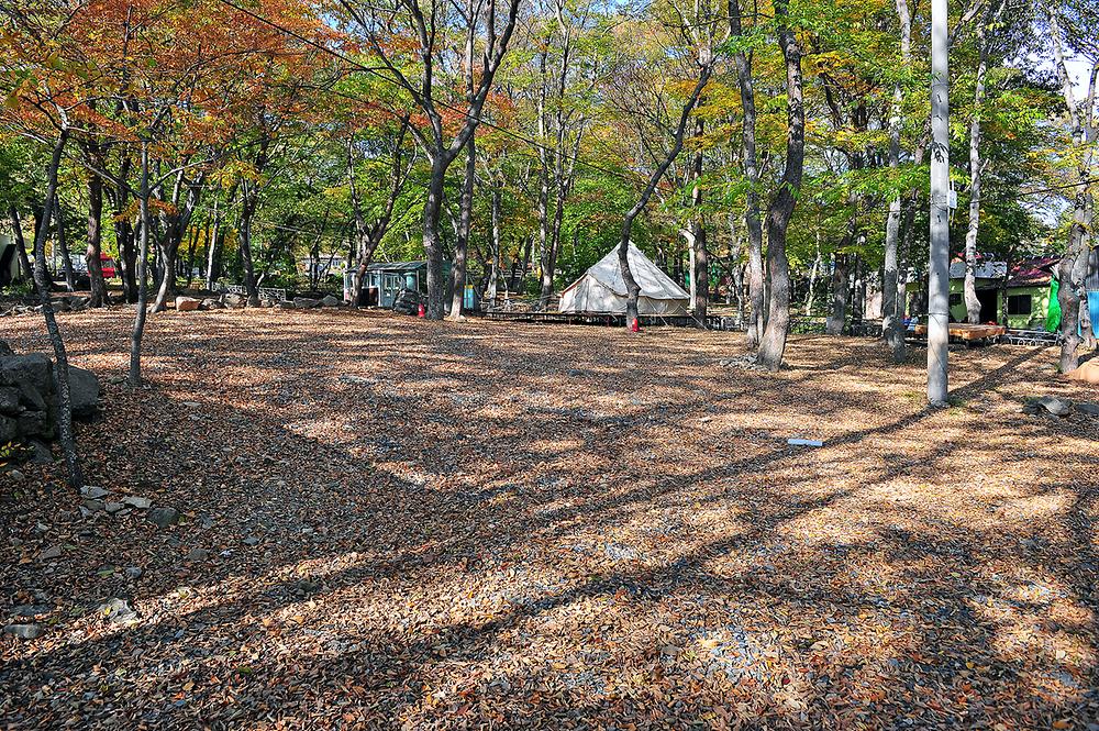 숲속가든 캠핑장