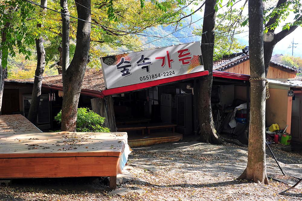 숲속가든 캠핑장