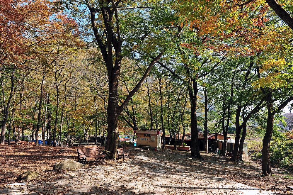 숲속가든 캠핑장
