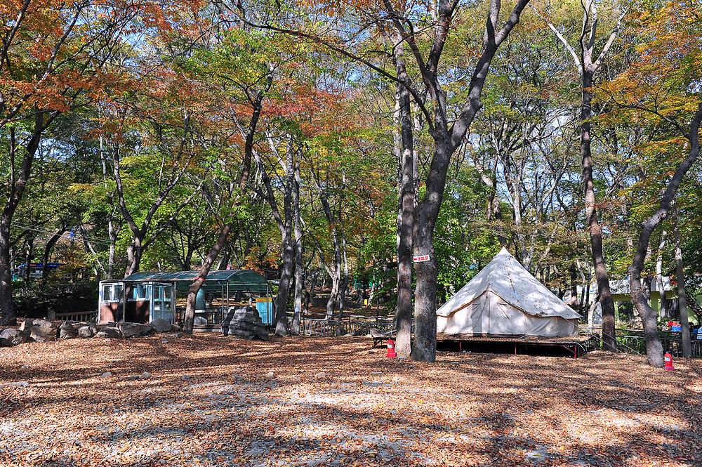 숲속가든 캠핑장