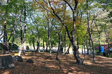 캠핑장소개 이미지